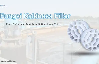 Fungsi Kaldness Filter